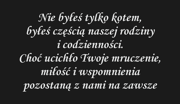 Nie byłeś tylko kotem, byłeś częścią naszej rodziny…